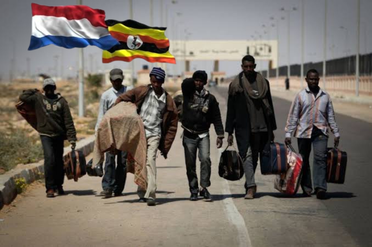 Government of Netherlands seeking to send rejected African asylum seekers to Uganda