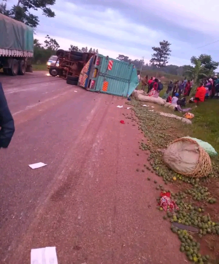 Two Killed, Several Injured in Tororo Road Accident