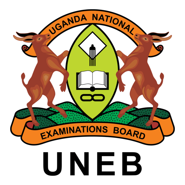 Pay Your Balances Or No PLE Results, UNEB To Schools