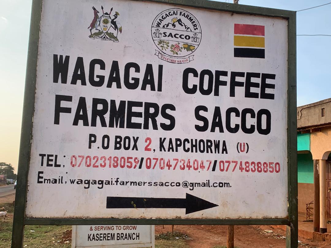 Wagagai Coffee Farmers SACCO: A Journey of Growth and Financial Strength